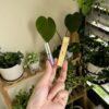 vn-11134207-7ras8-mdrfa6filei4ff.jpg Loveshine Plumping Lip Oil Gloss
